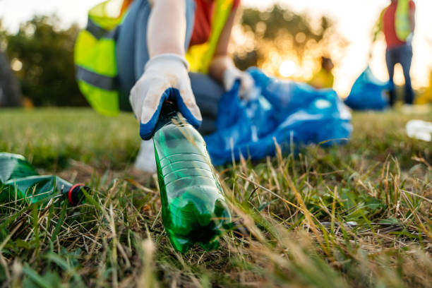 Best Yard Cleanup Services  in Tazewell, TN