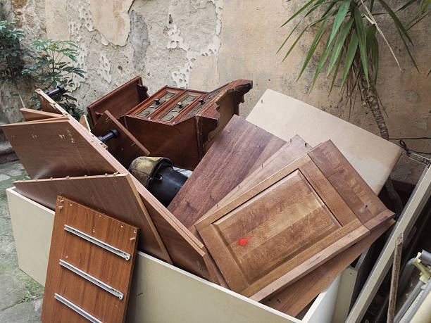 Yard Cleanup Services in Tazewell, TN
